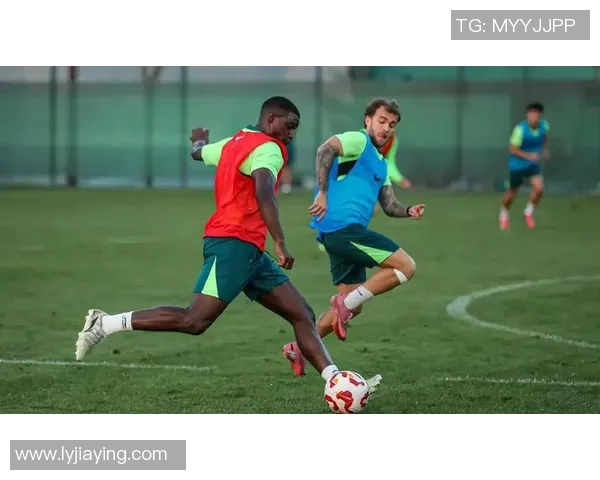 足球华裔血统球星崛起全球赛场展现实力与文化传承